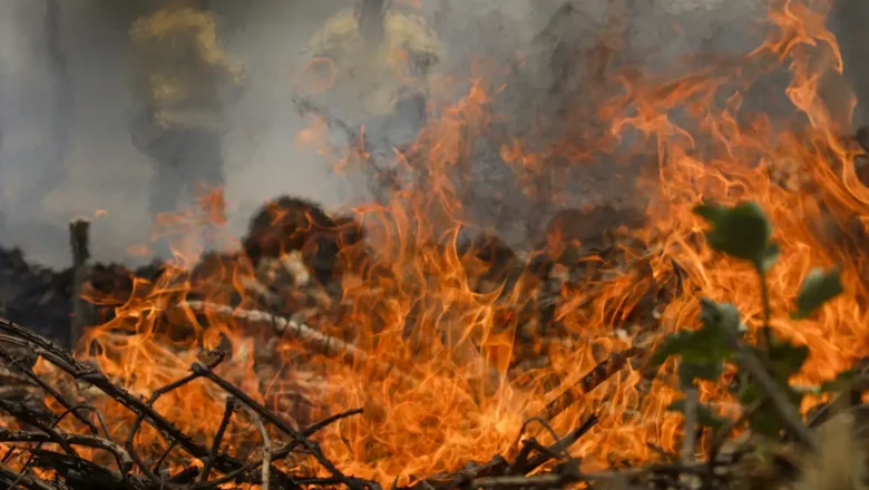 Quase 1/4 do território brasileiro pegou fogo nos últimos 40 anos