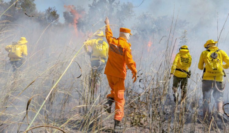 Tocantins cai para 9ª posição no ranking nacional de queimadas no mês de agosto