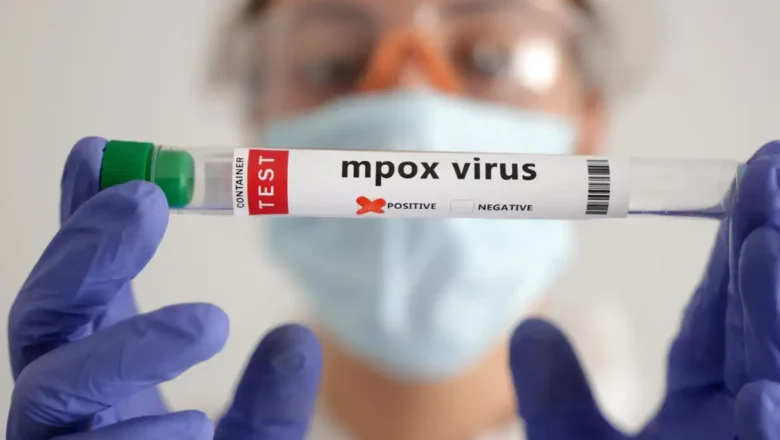 Vacina brasileira contra a mpox está próxima dos testes em humanos