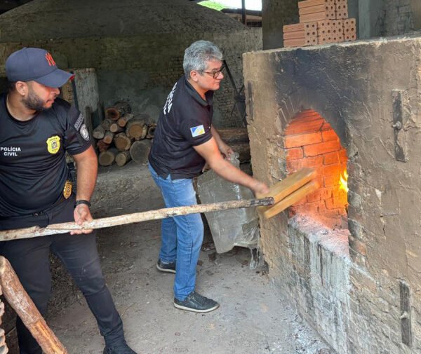 Polícia Civil incinera cerca de 400 kg de maconha e gera prejuízo de R$ 1 milhão ao crime organizado