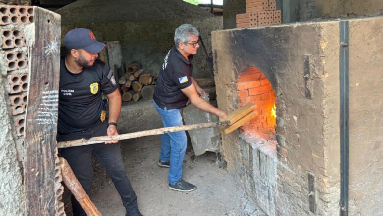 Polícia Civil incinera cerca de 400 kg de maconha e gera prejuízo de R$ 1 milhão ao crime organizado